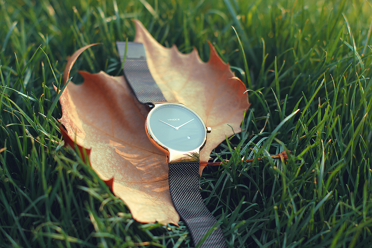 手表拍摄（随缘1）