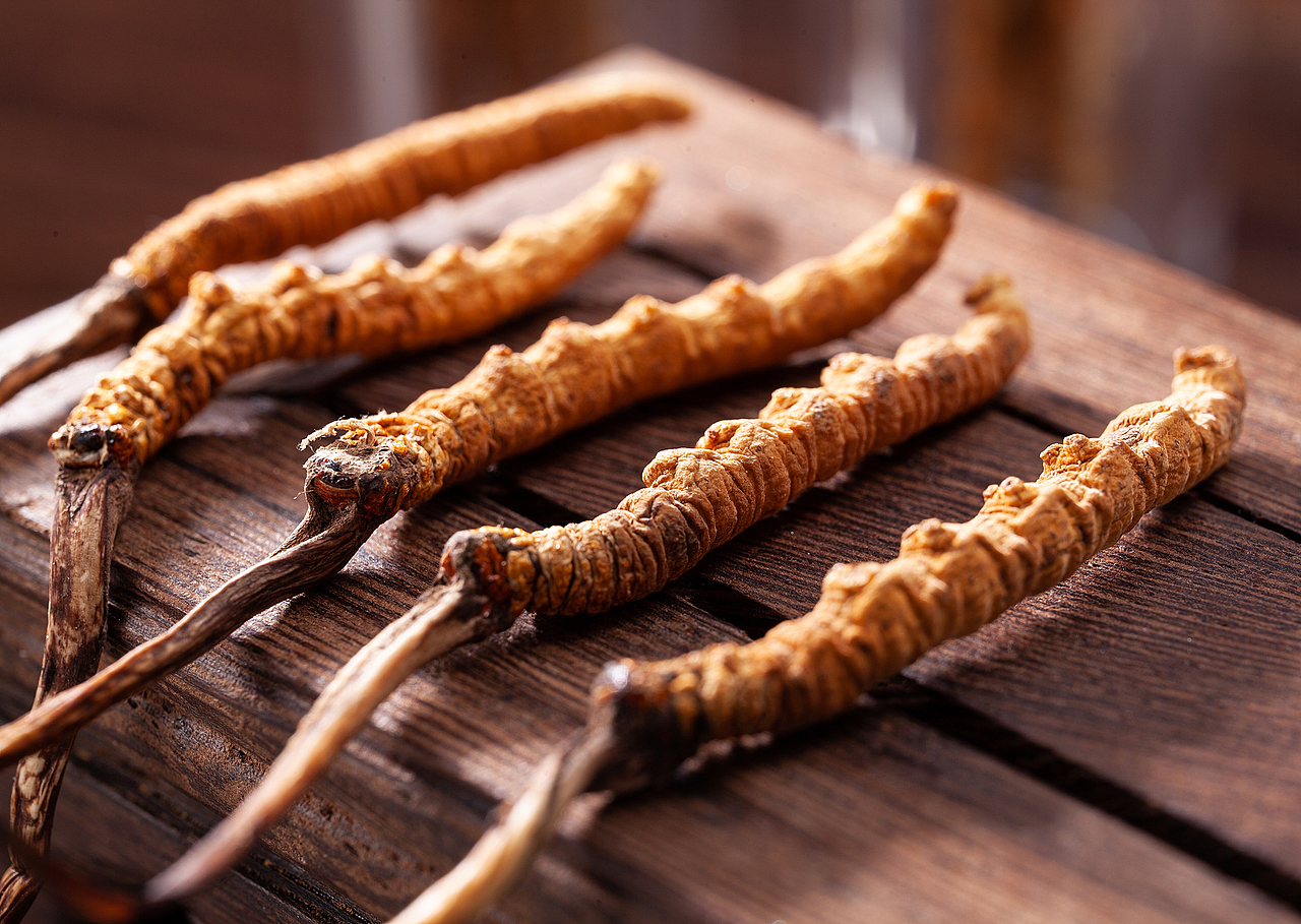 冬虫草产品拍摄 产品寄拍 视频制作 滋补拼摄影（图ZMjI0NDE2MzE2） - 产品摄影 - 站酷设计师岭南视觉原创素材 - 站酷ZCOOL