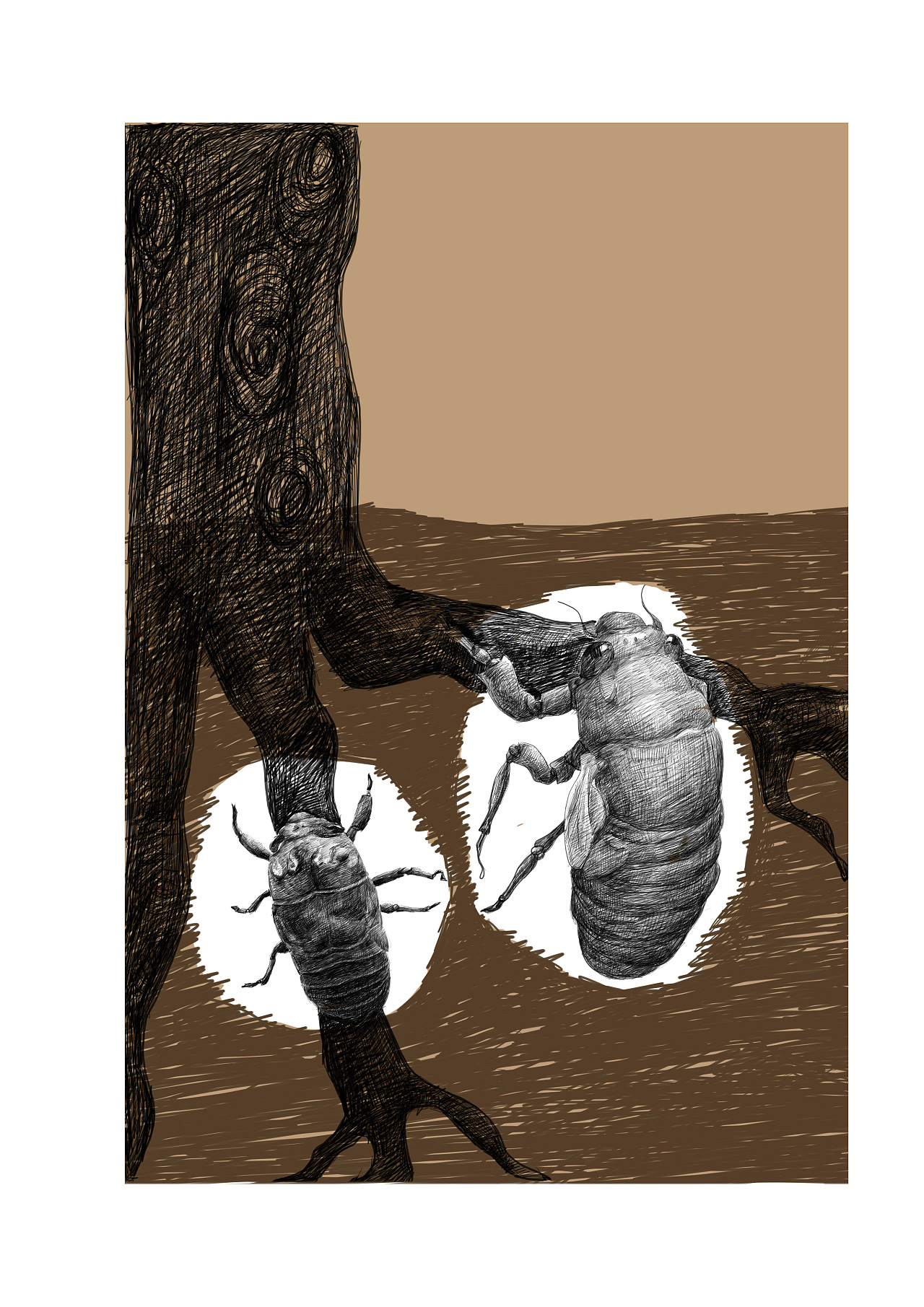 蝉蜕|插画|商业插画|张敏哈哈 - 原创作品 - 站酷 (zcool)