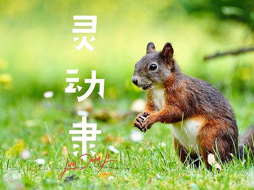 『灵动隶』字体之星专业组三等奖