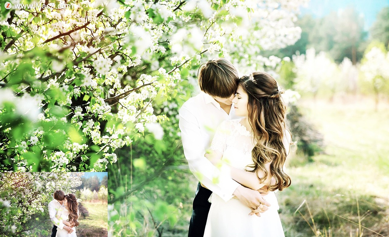 10个婚礼摄影PS动作（图ZMjYxMzg3NzMy） - 其他 - 站酷设计师mac开心原创素材 - 站酷ZCOOL