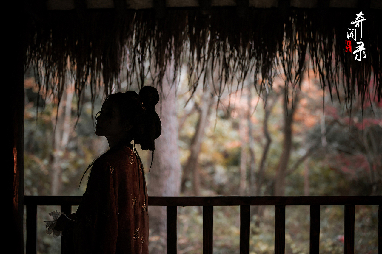 奇闻录·枯叶蝶