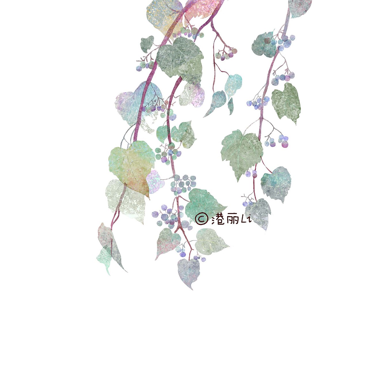 植物插画系列（图ZMTEzMTk1MDU2） - 艺术插画 - 站酷设计师Gangli港丽丽原创素材 - 站酷ZCOOL