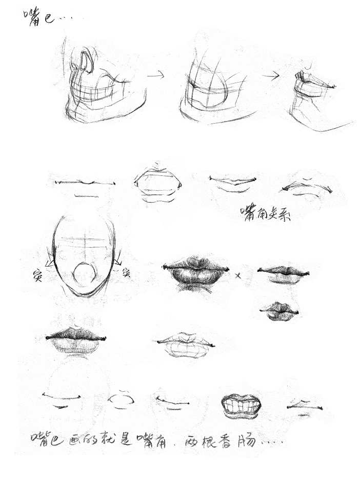 【嘴巴】
我是一个小鸭子,咿呀咿啊哟~~来画香肠嘴吧!<br>