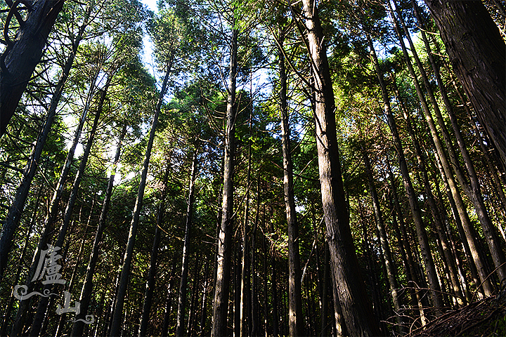 第二天去含潘口的路上,林!