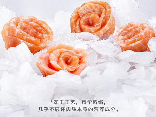 yee-冻干