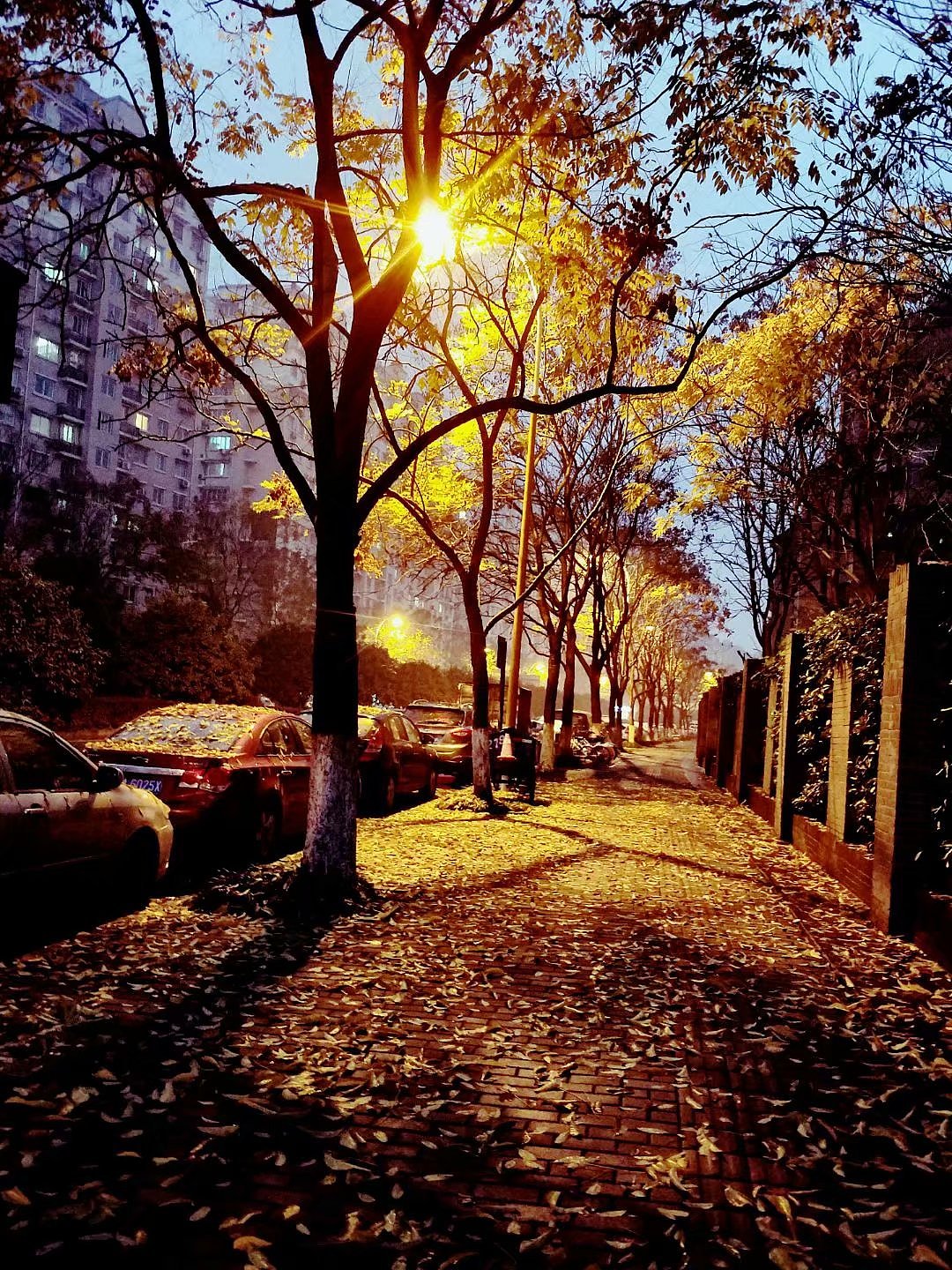 【手机摄影集】2018-2019精选