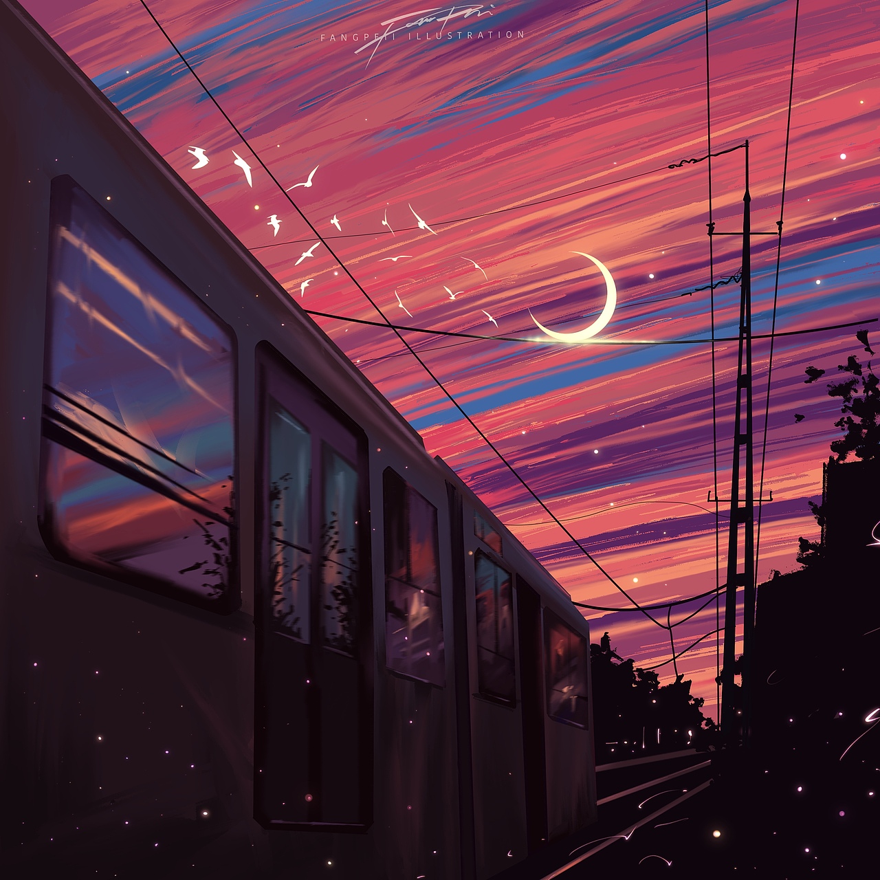 第一期直播画粉丝图小结