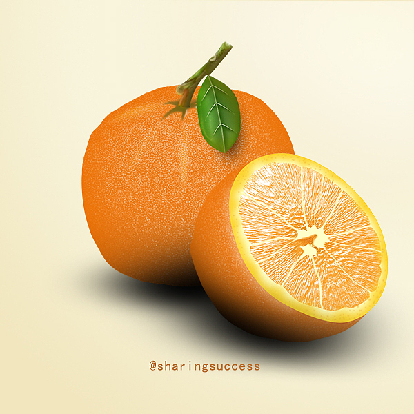 9步教你画橙子(鼠绘)