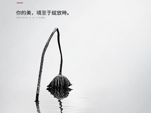 处暑
