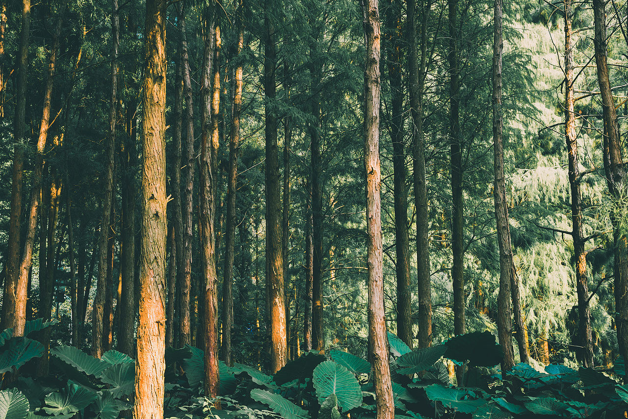 风景（图ZMTc5Mjg4MjEy） - 风光摄影 - 站酷设计师吼不吼原创素材 - 站酷ZCOOL