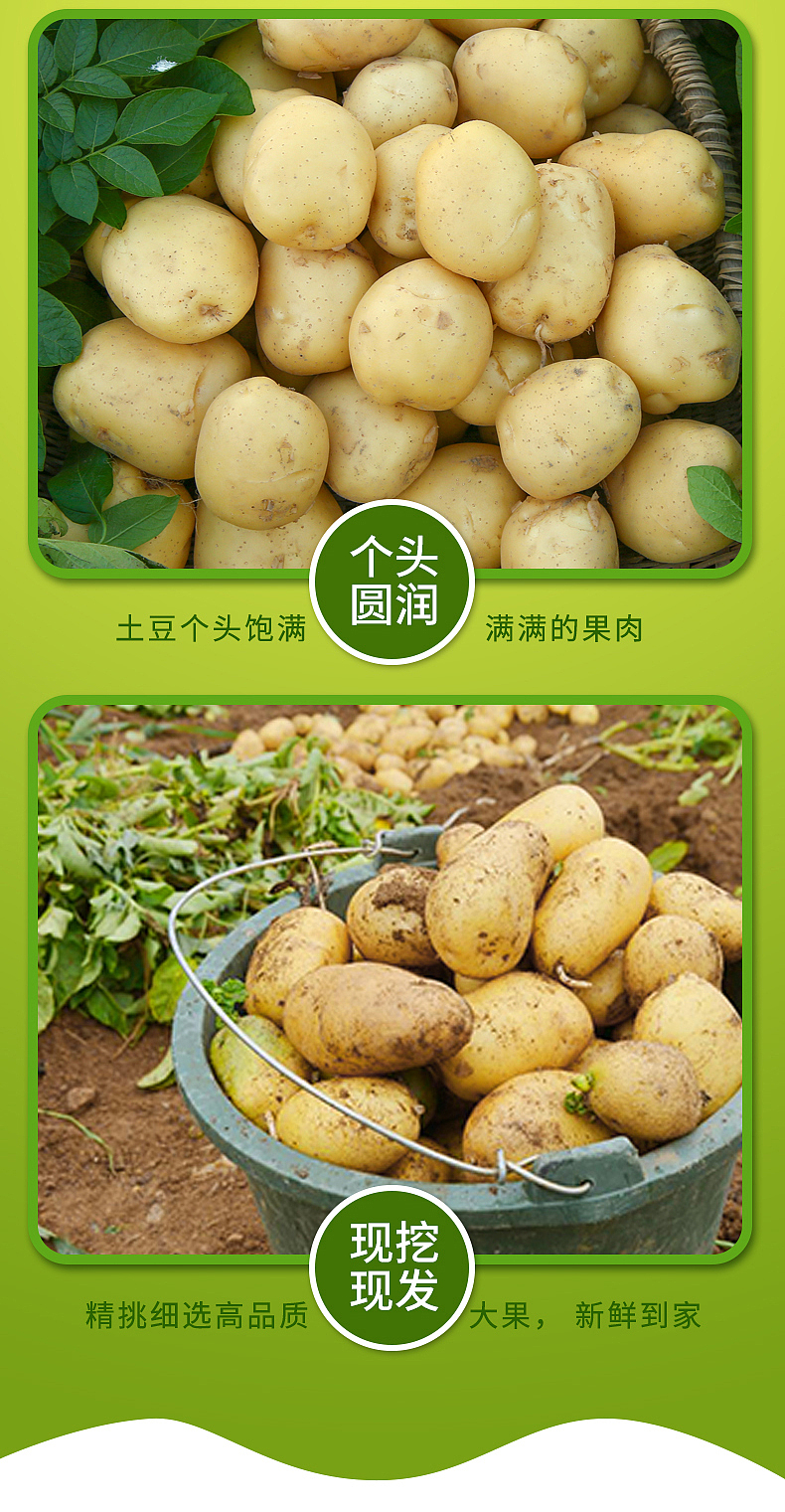 土豆详情页（图ZMjM1NzU5ODA0） - 电商 - 站酷设计师新盛视觉设计原创素材 - 站酷ZCOOL