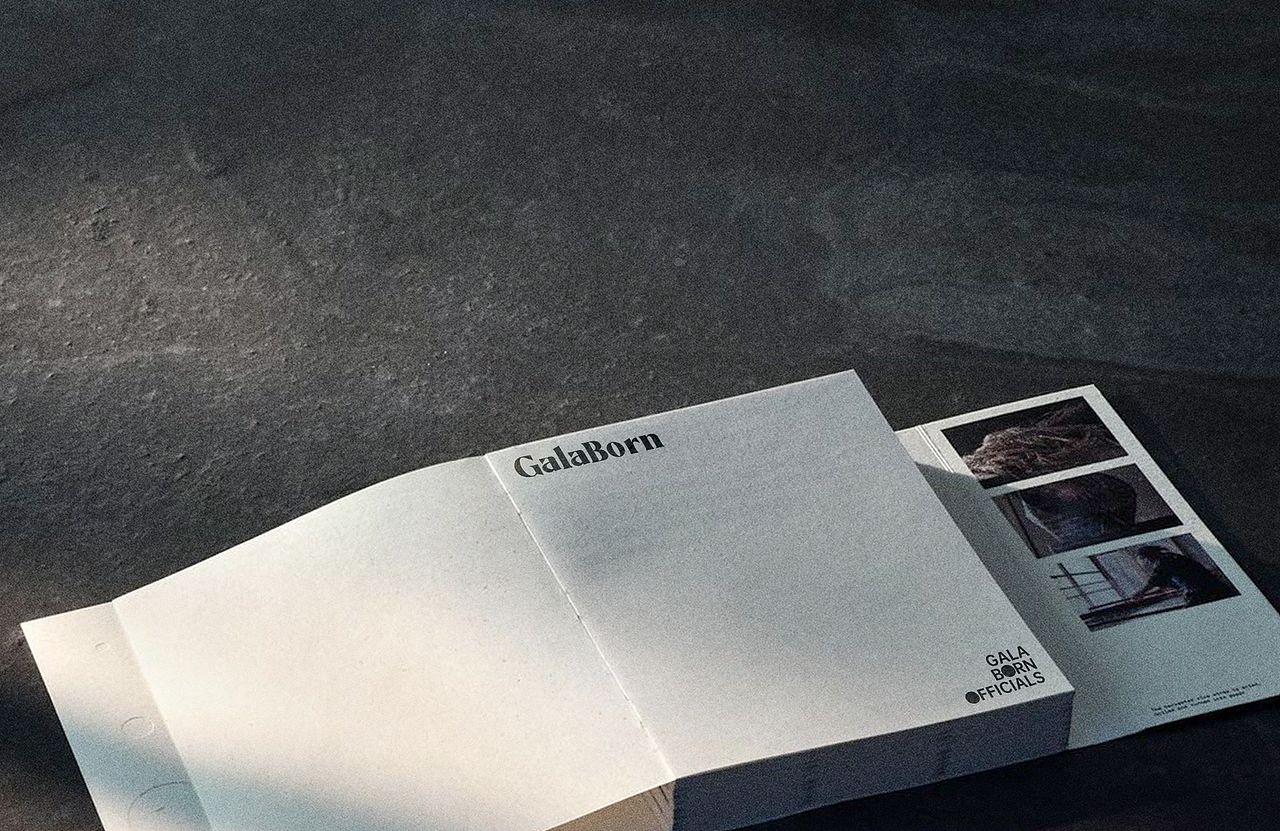 4.中文&应用延展 |GALABORN品牌识别手册