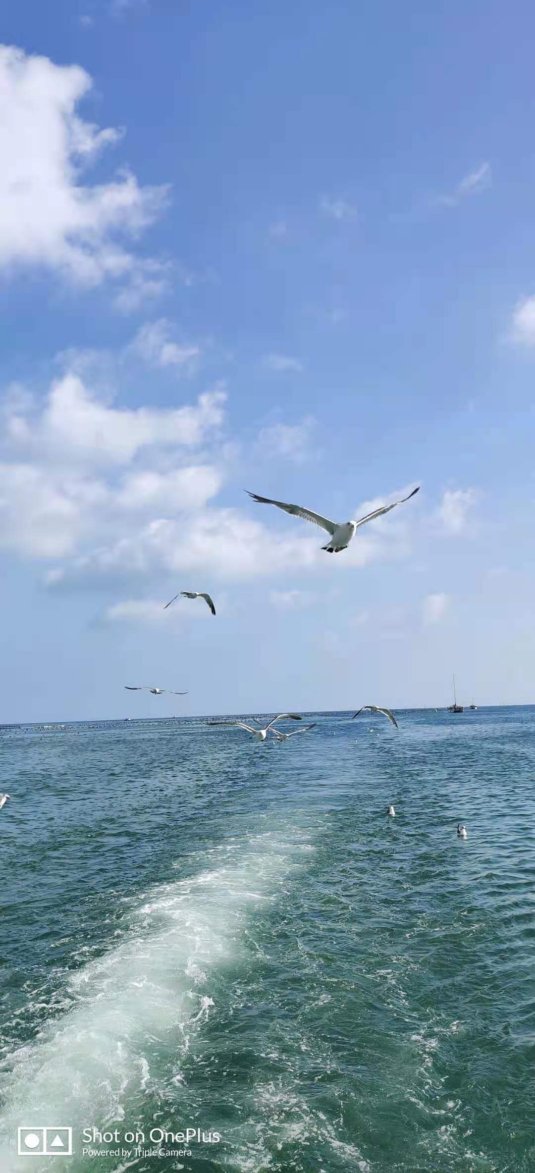 随记（图ZMjU3ODYzMDU2） - 风光摄影 - 站酷设计师乘风破浪的憨憨原创素材 - 站酷ZCOOL