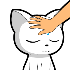 小猫原创表情包gif图制作动画短视频制作