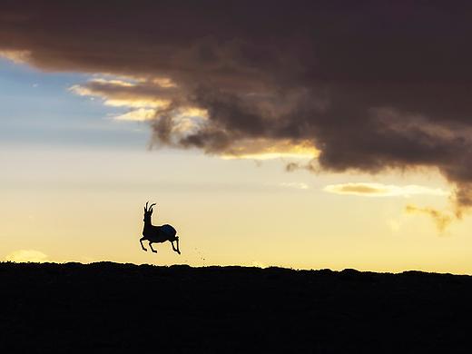 从北到西 大美中国 2020年影像回顾（部分）
