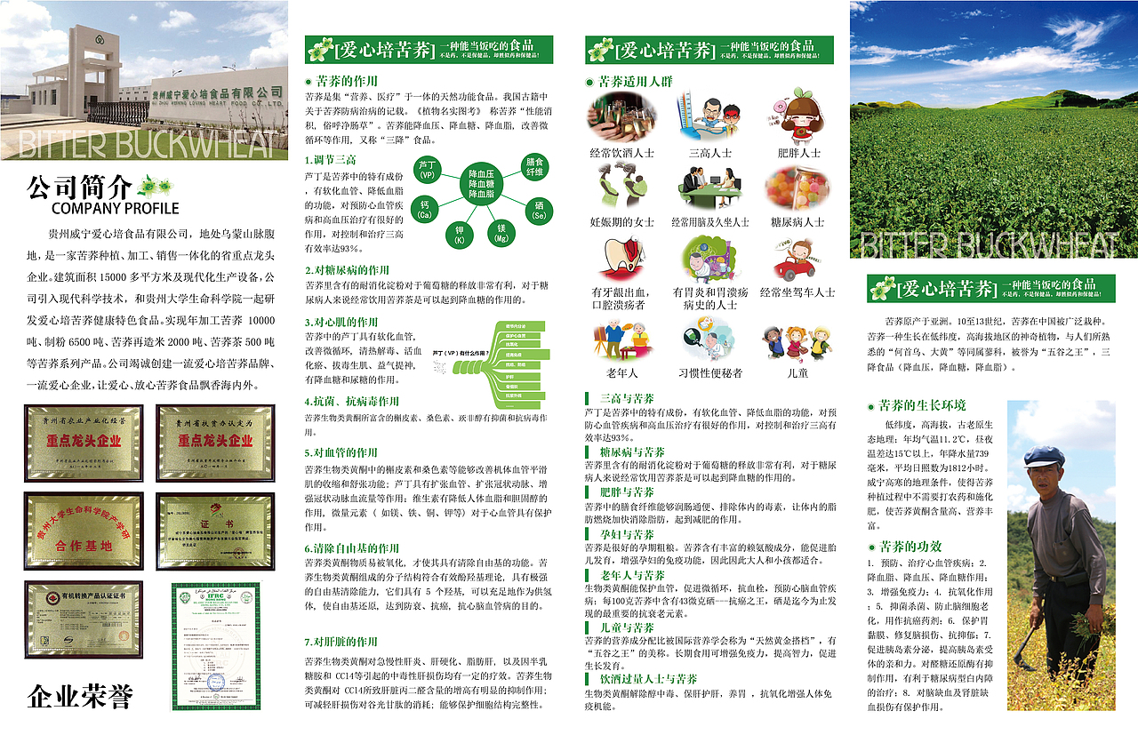 苦荞茶四折页（图ZNDU0ODUzNDA=） - 宣传物料 - 站酷设计师DOUMI89原创素材 - 站酷ZCOOL