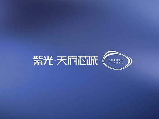 大型综合体紫光芯城提案