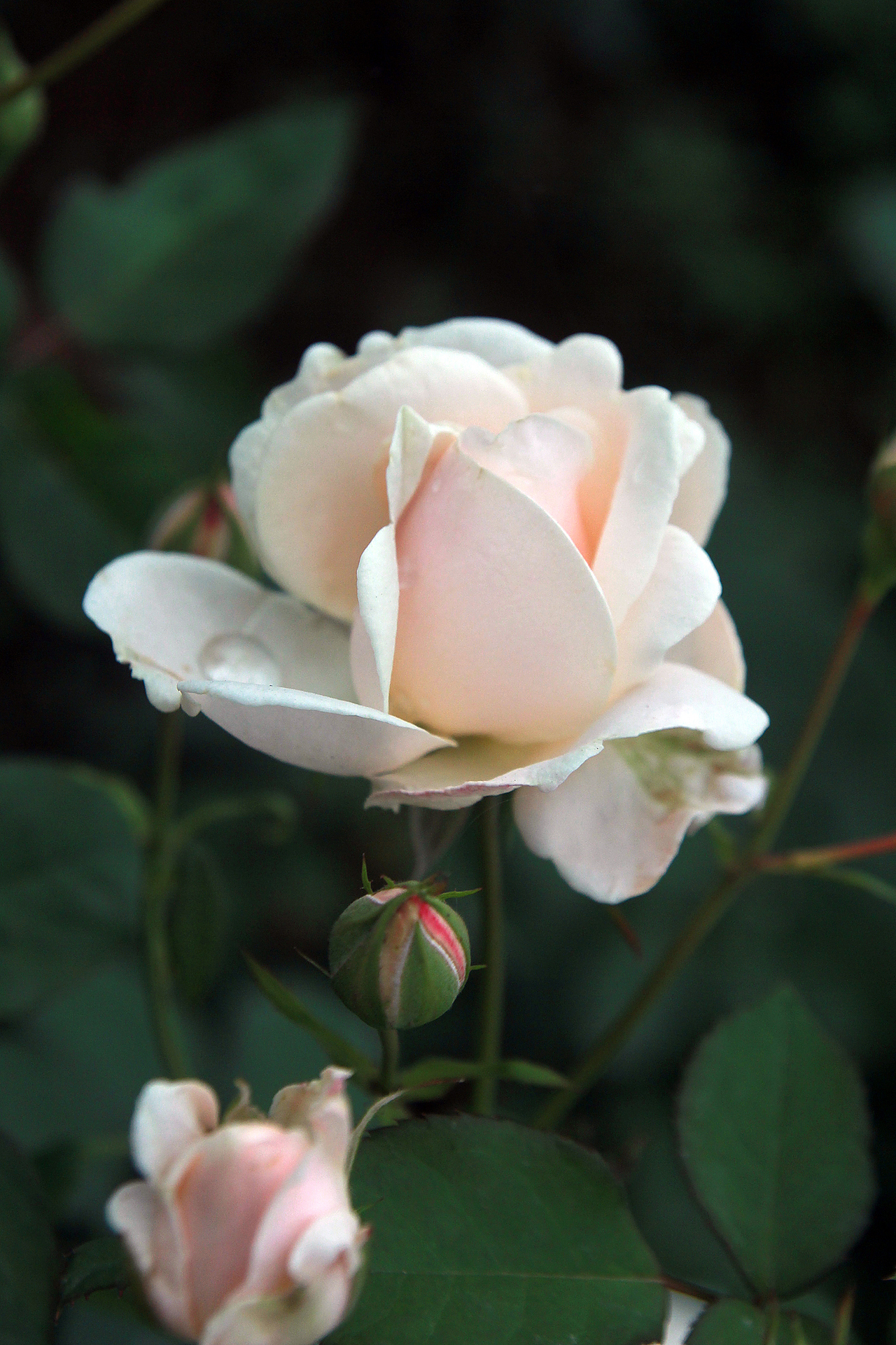 五一节拍的一些照片