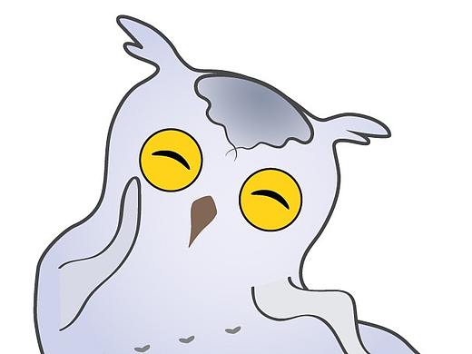 可爱大眼猫头鹰表情包