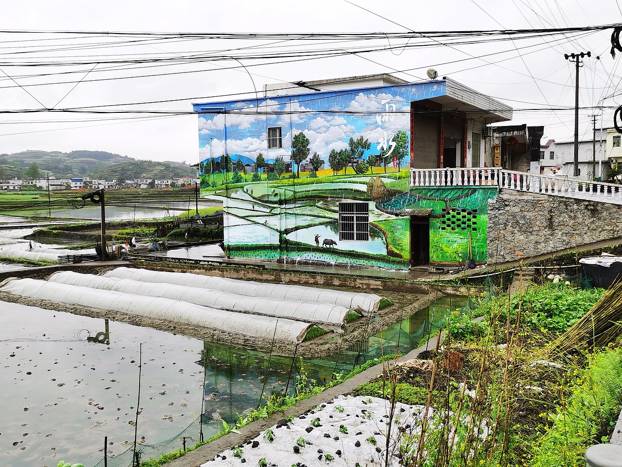 新农村墙绘,新农村壁画,乡村文化墙,农村墙绘