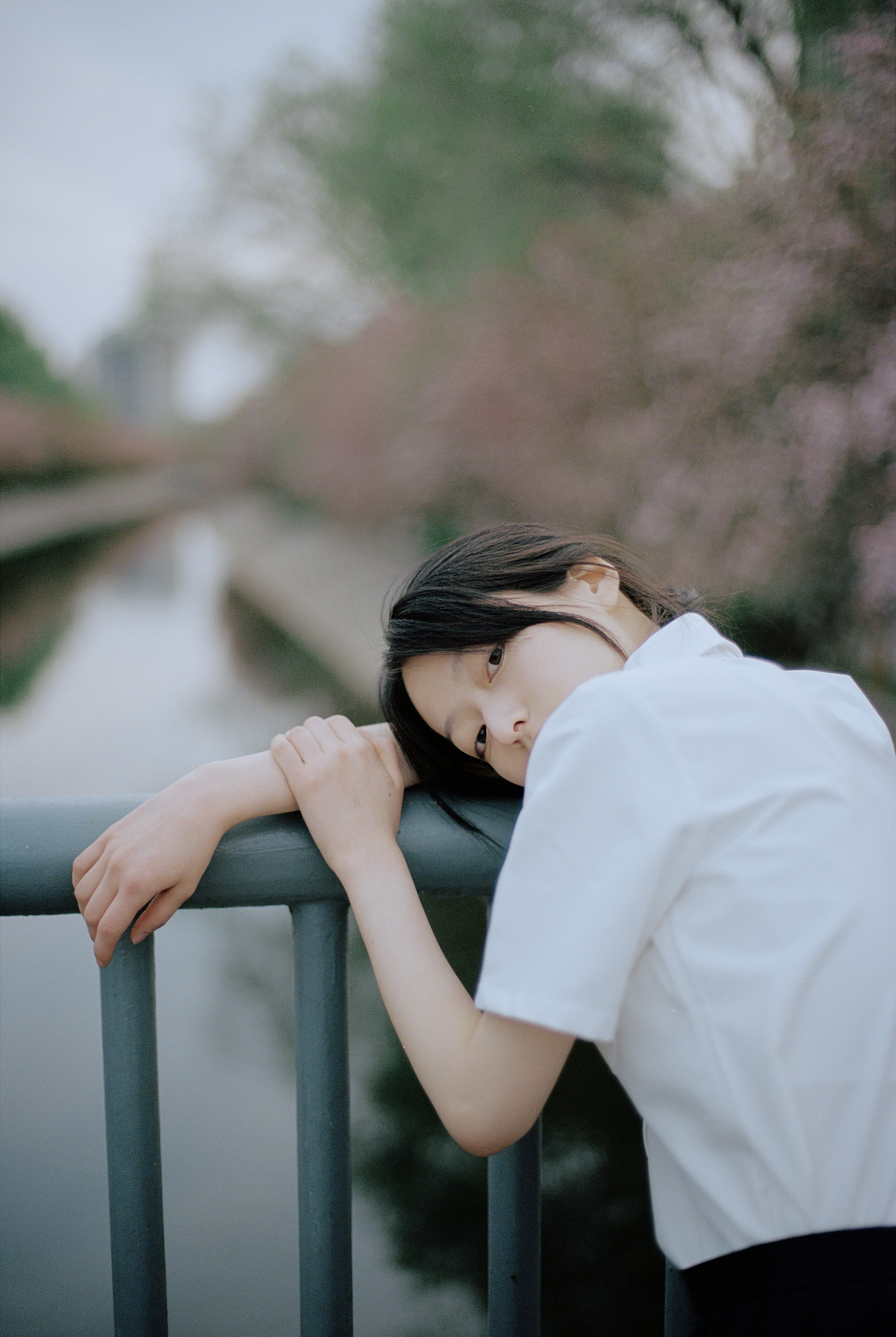 花棠傍晚（图ZMjcxOTc0NDMy） - 人像摄影 - 站酷设计师南瓜星球原创素材 - 站酷ZCOOL