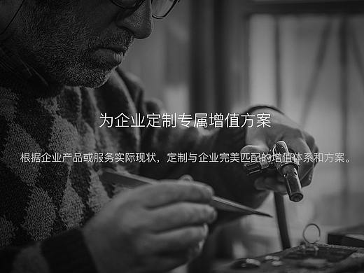 网页设计-官网VIP