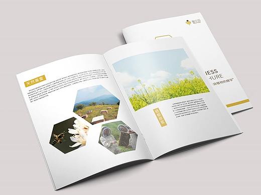 蜂蜜品牌畫冊(cè)（個(gè)人主頁-ZNDM2MzE1ODg=） - 書籍/畫冊(cè) - 站酷設(shè)計(jì)師花草間原創(chuàng)素材 - 站酷ZCOOL