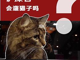 貓子
