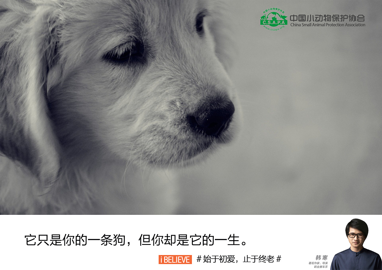 公益招贴,关爱动物