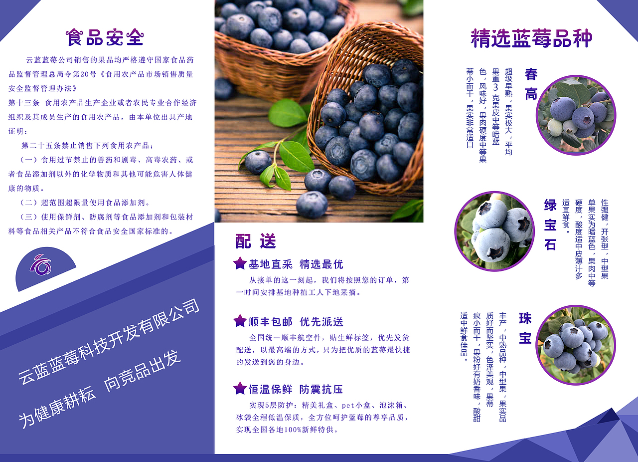 宣传折页（图ZMTQzMTcxMzAw） - 宣传物料 - 站酷设计师呆呆小萌原创素材 - 站酷ZCOOL