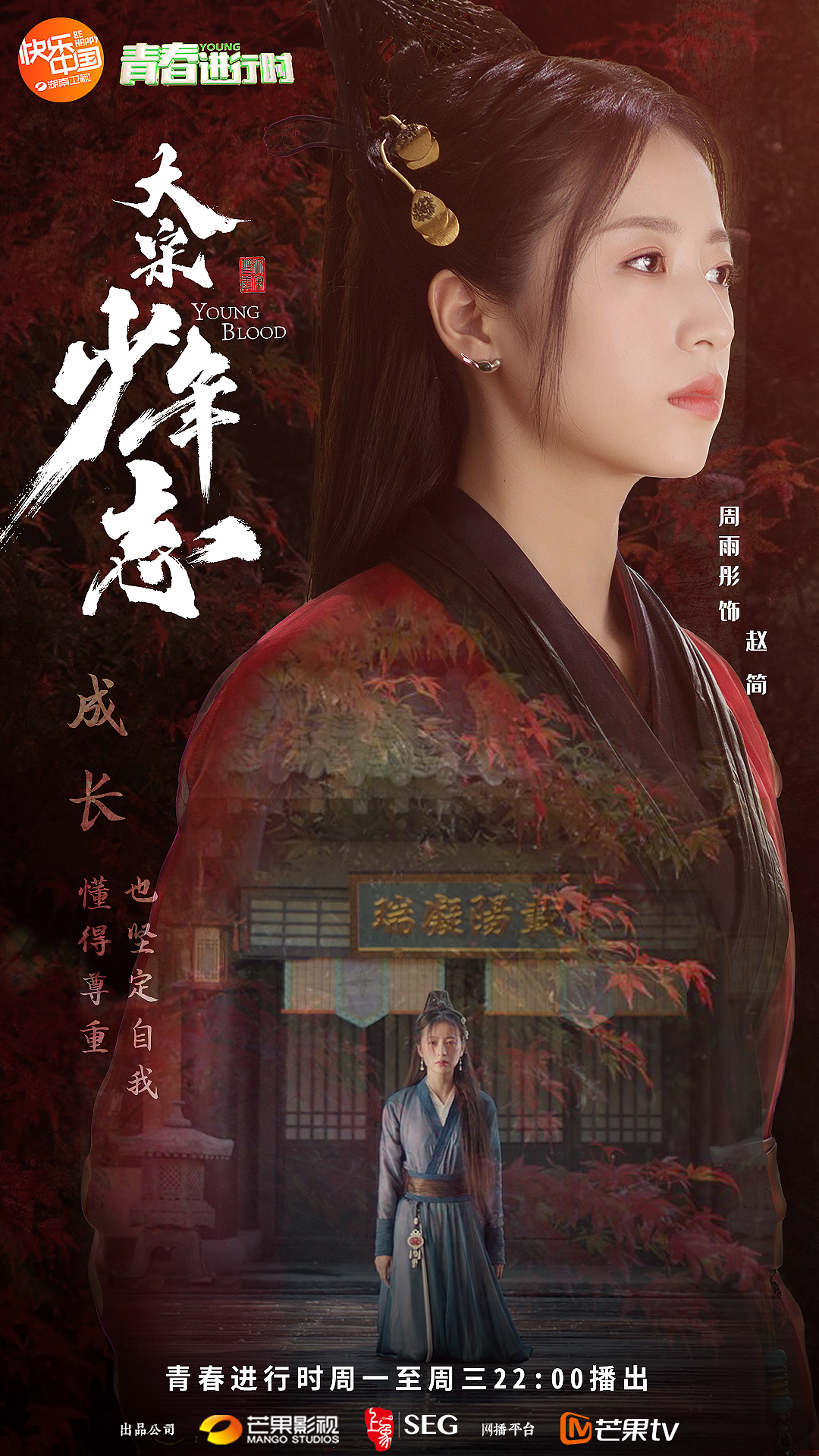 大喜出品《大宋少年志》单人海报