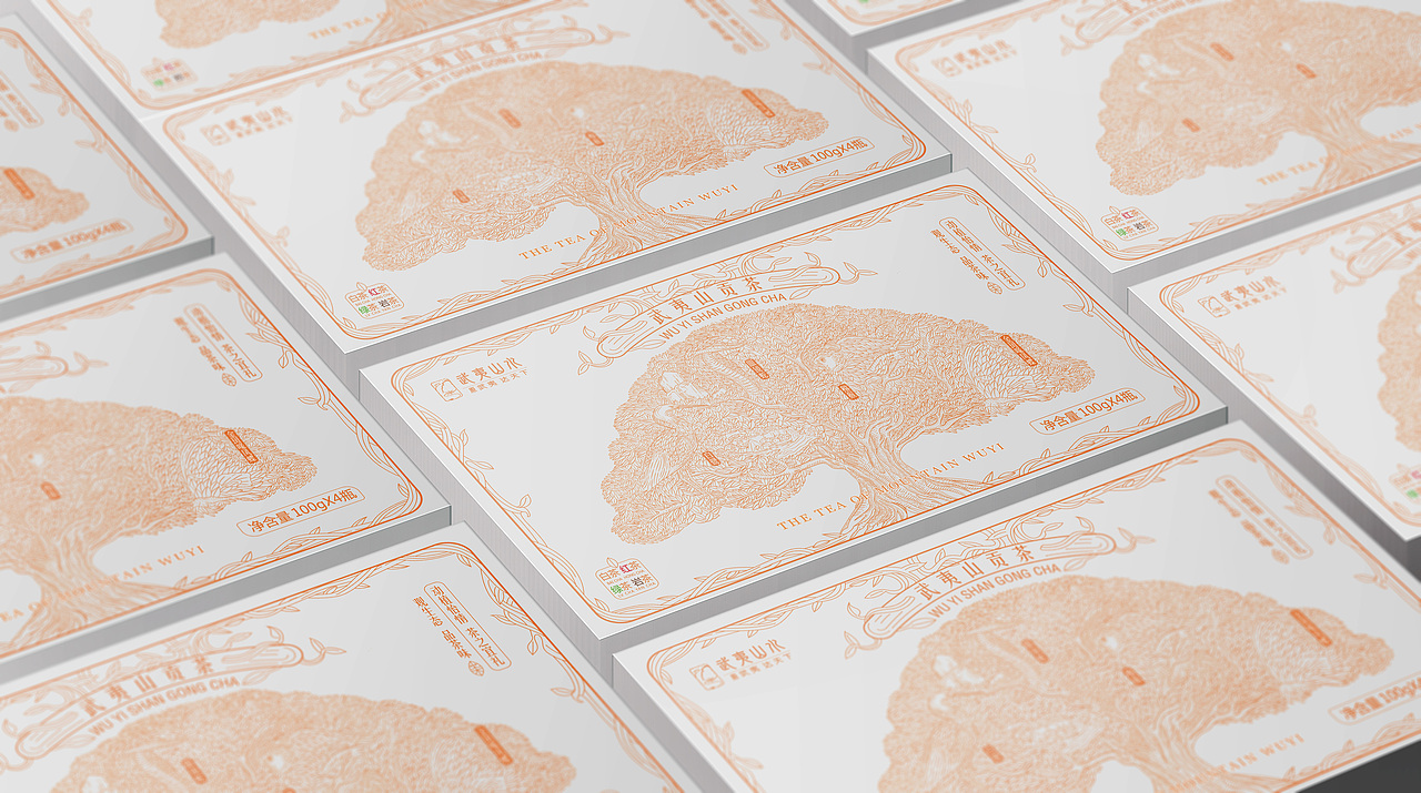 武夷山水茶包装 设计大赛优秀奖（图ZMjQ3MDc4OTcy） - 包装 - 站酷设计师奇道品牌设计原创素材 - 站酷ZCOOL