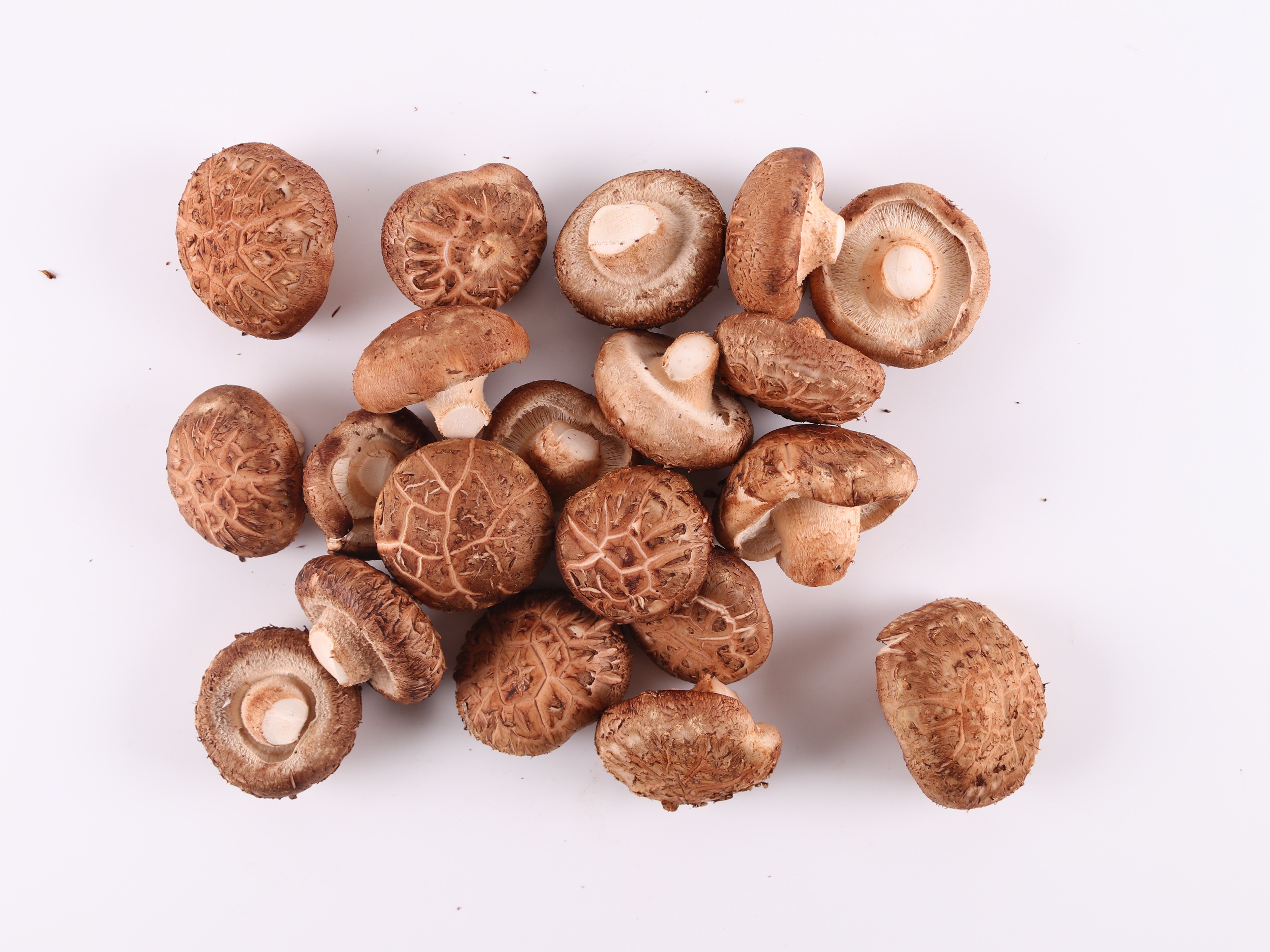花菇片 土特产 一手货源 商用 泌阳 花菇 农家干货 白花菇片-阿里巴巴