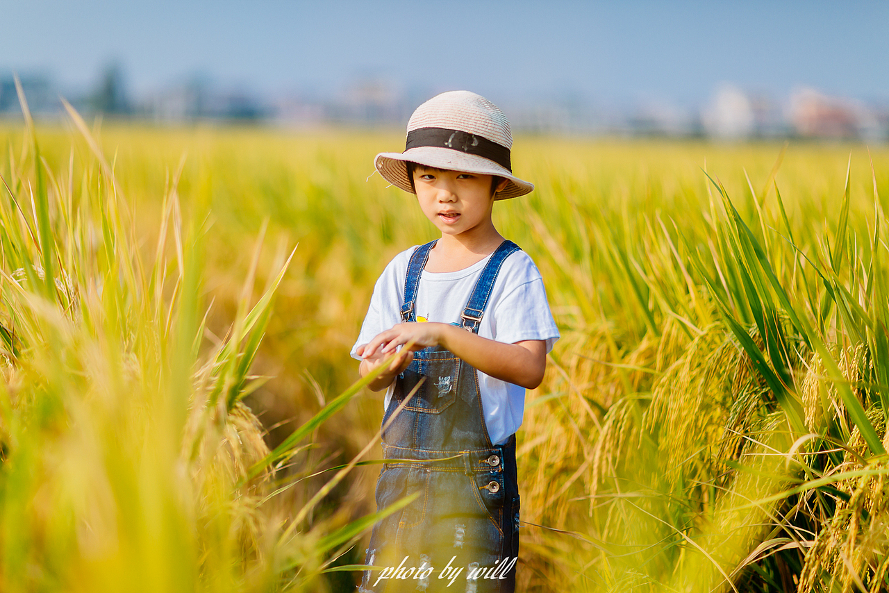 稻香中的微笑（图ZMjQyMzM4NTE2） - 人像摄影 - 站酷设计师斌大Will原创素材 - 站酷ZCOOL