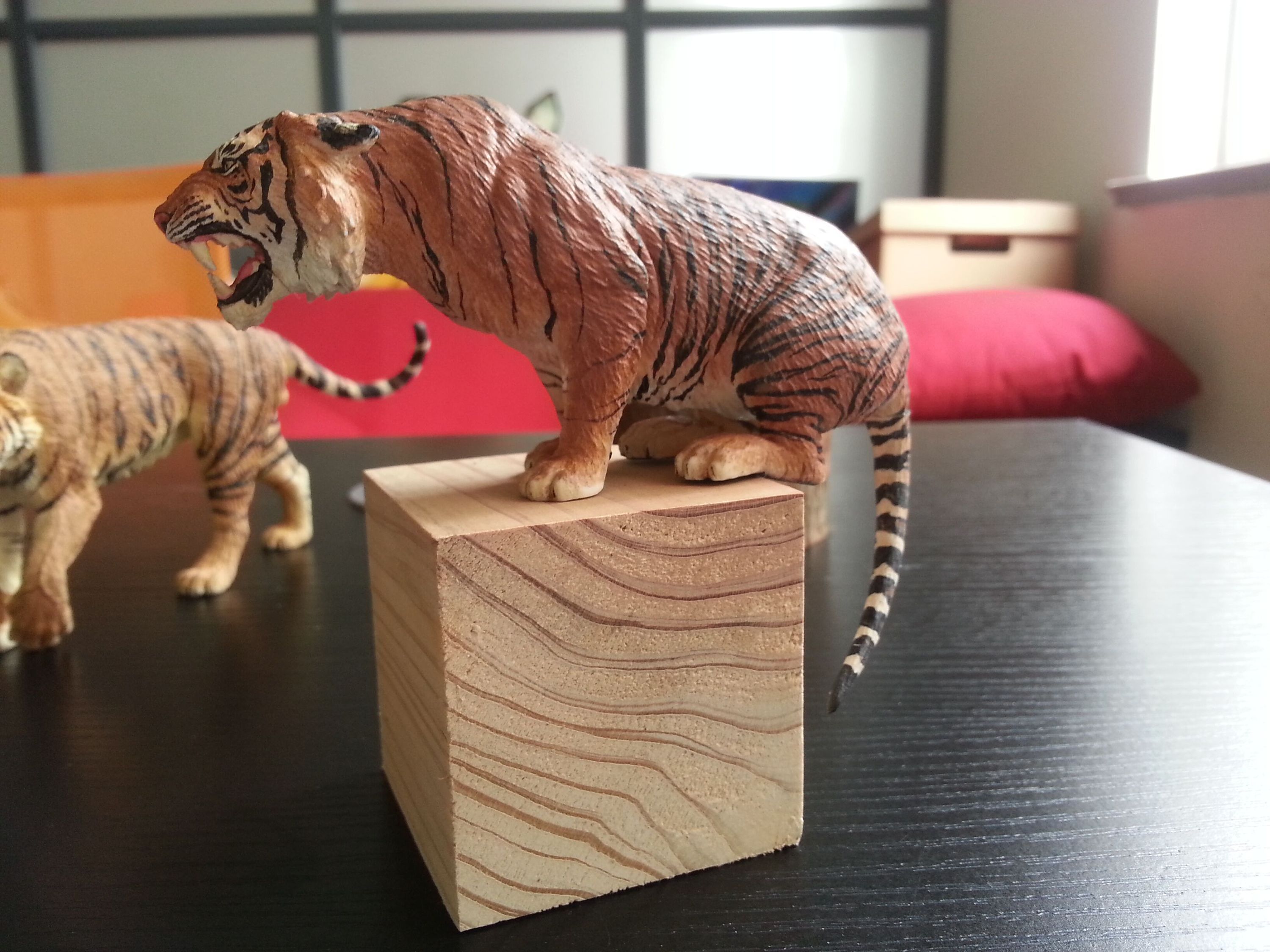 爪哇虎——灭绝