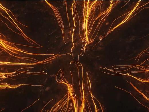 金木水火土｜预告片