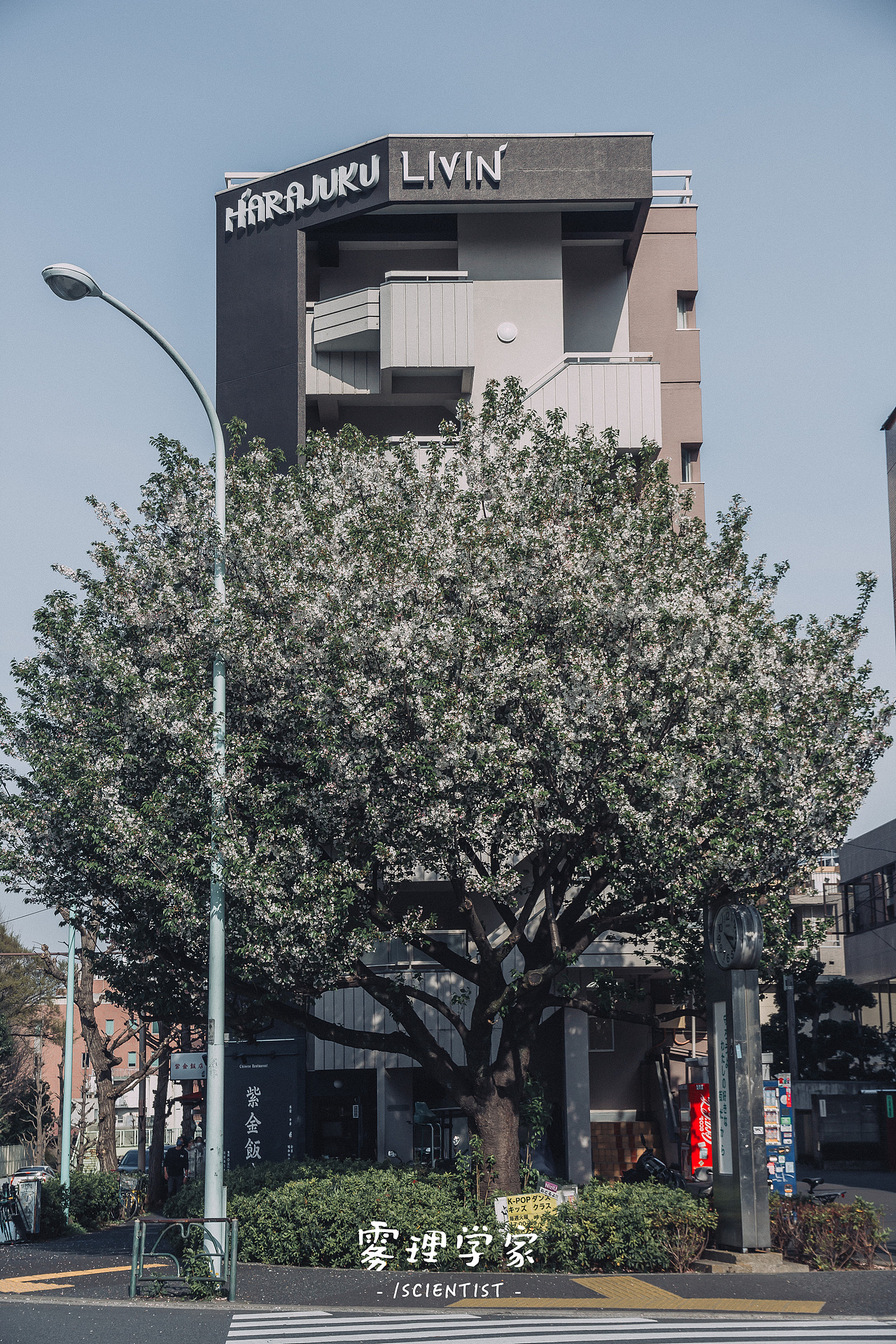 涉谷八公 | Photo | 雾里学家scientis | 3