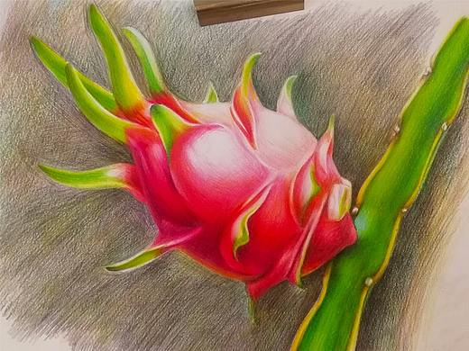 彩铅火龙果 彩铅作品 彩铅水果