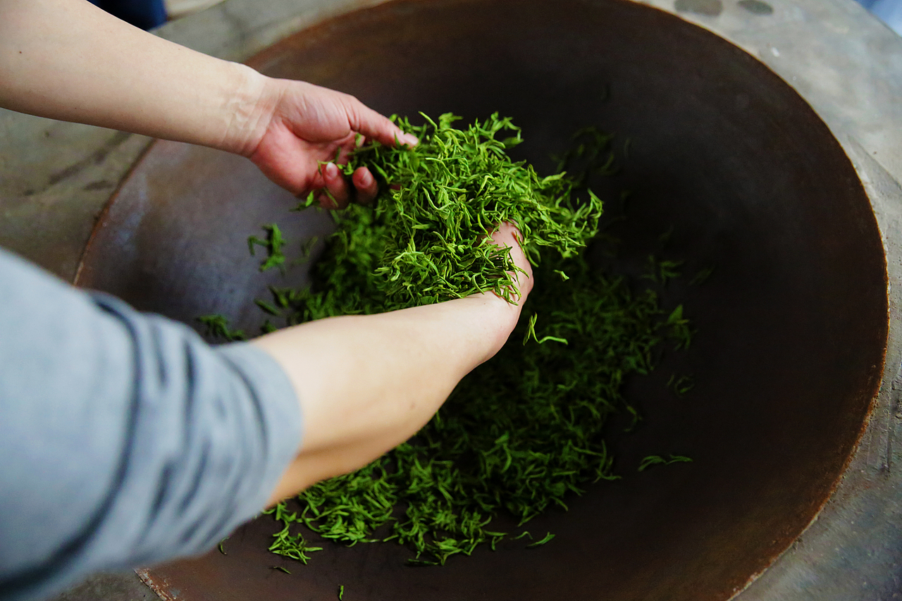 古法手工制茶 · 明前玲珑王小叶茶_123aven-站酷zcool