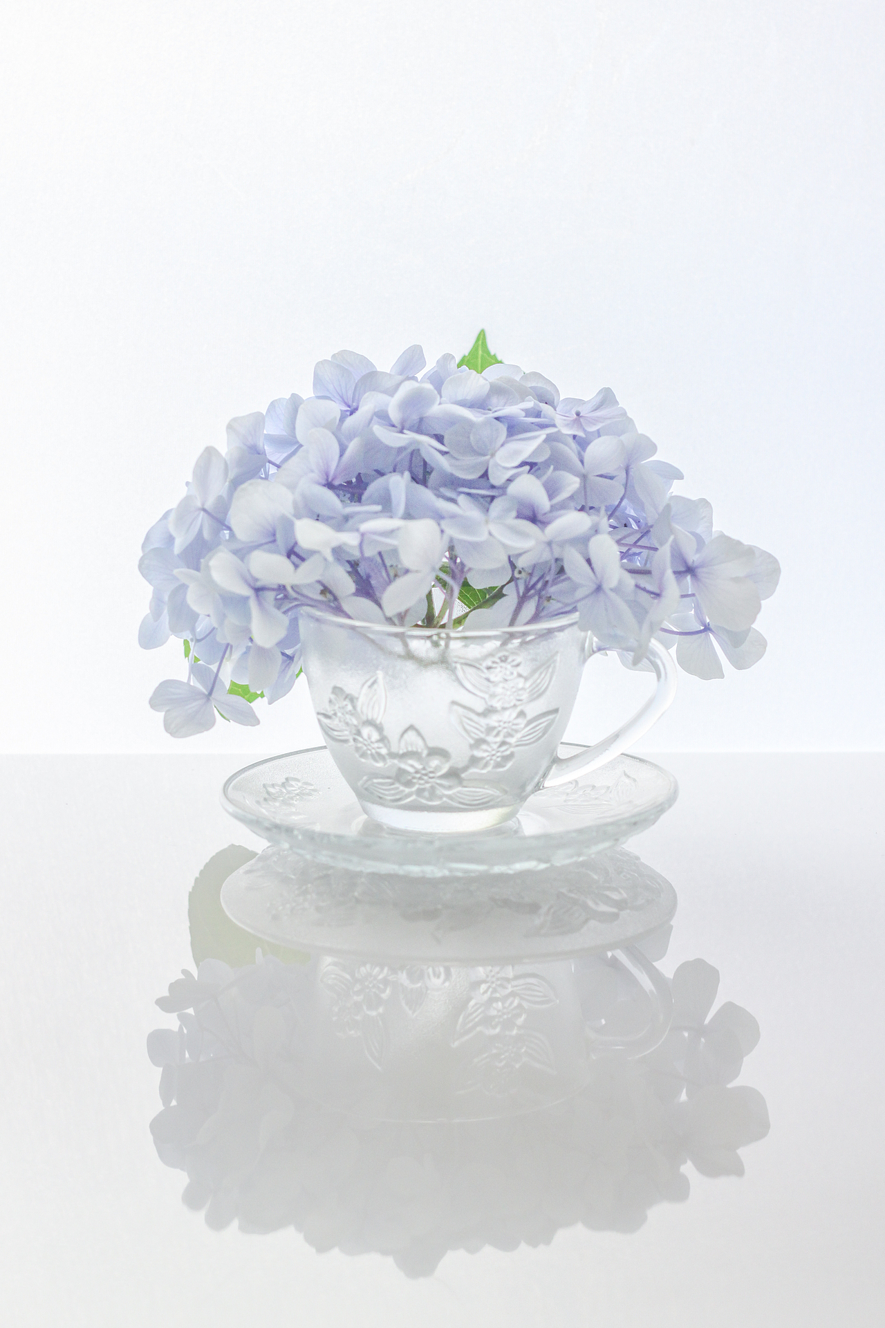 去年复今年,存图何其多3 绣球亮调