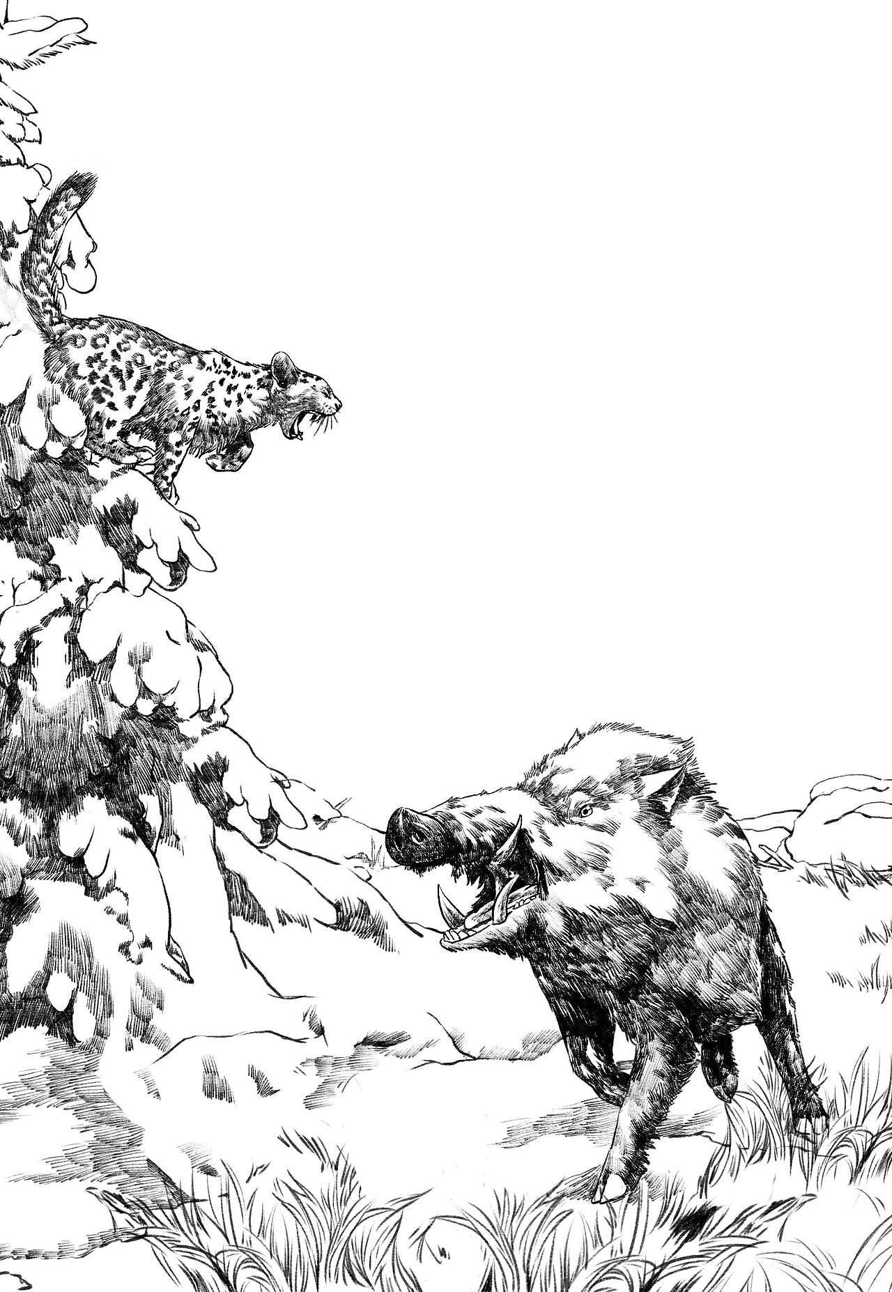 手绘风格动物插画（图ZMjQ5NTQxMzI=） - 儿童插画 - 站酷设计师四十二天原创素材 - 站酷ZCOOL