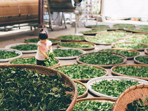 中國(guó)風(fēng)專題（個(gè)人主頁(yè)-ZMjUzODMxNzY=） - 電商 - 站酷設(shè)計(jì)師張學(xué)文seven原創(chuàng)素材 - 站酷ZCOOL