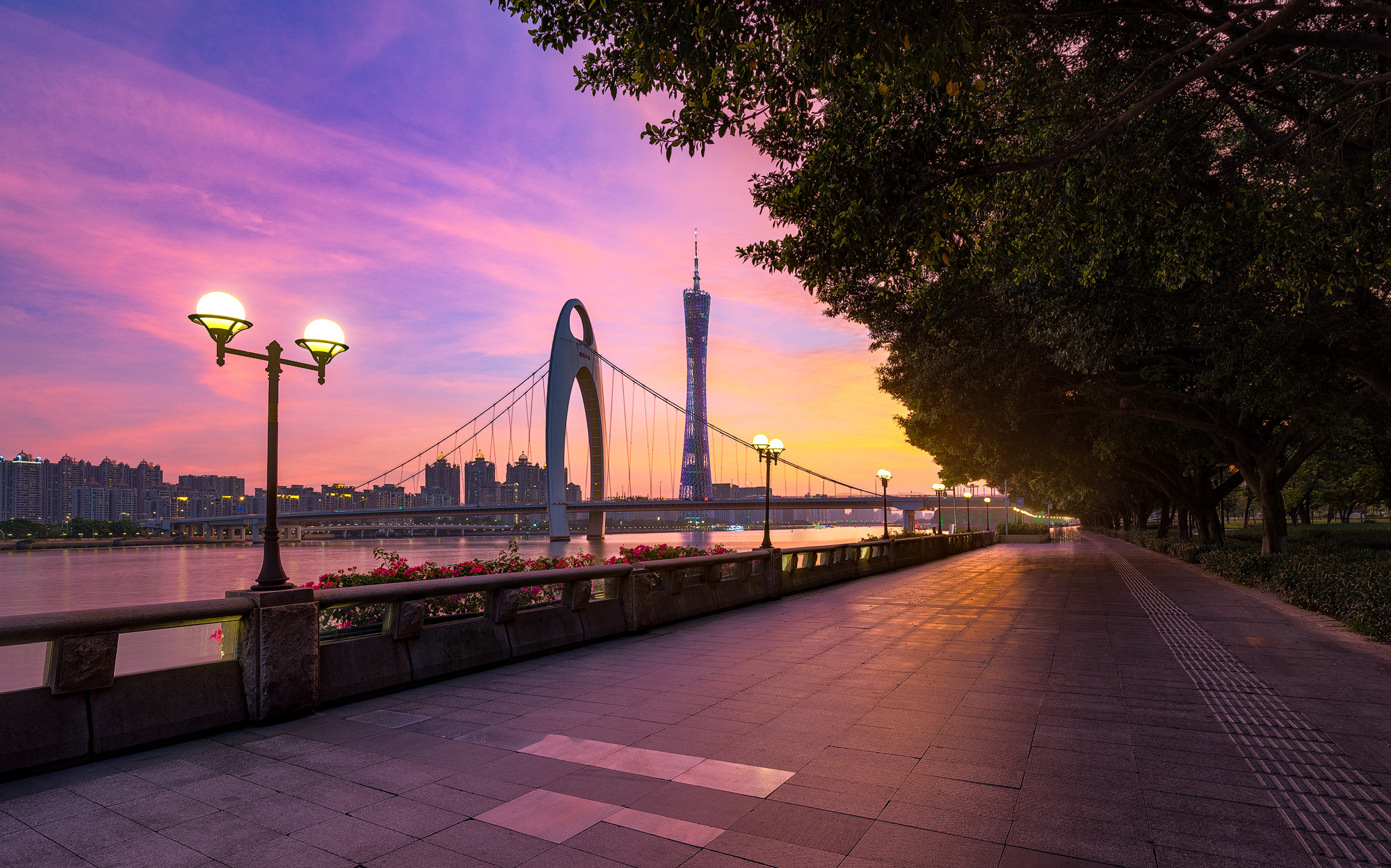 广州塔海心桥,广州塔海心桥夜景,广州塔海心桥图片_大山谷图库