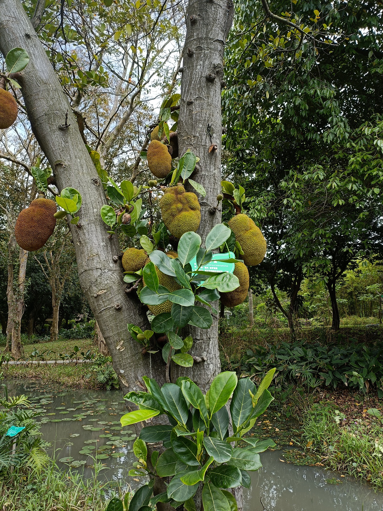 广东七星岩景区