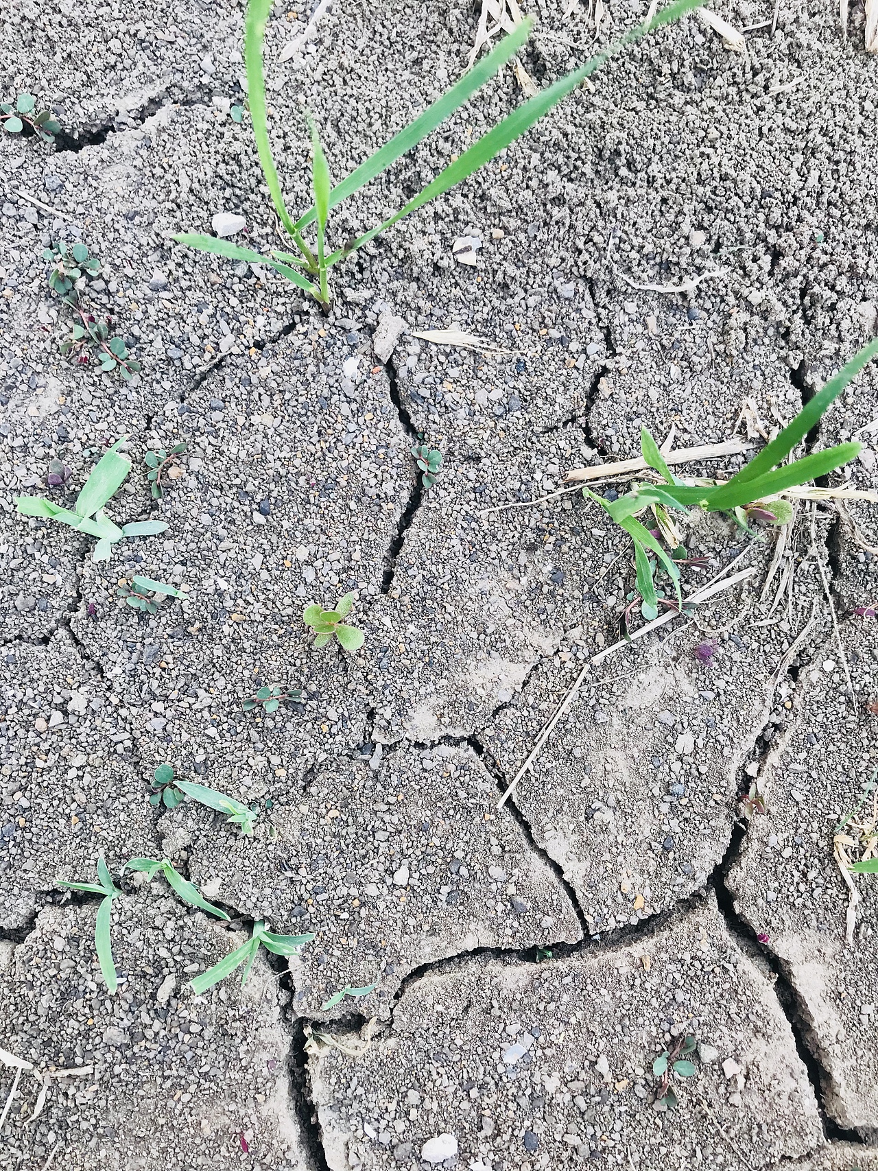 田园小景（图ZMTY3NjQwNTEy） - 产品摄影 - 站酷设计师游走的呆原创素材 - 站酷ZCOOL