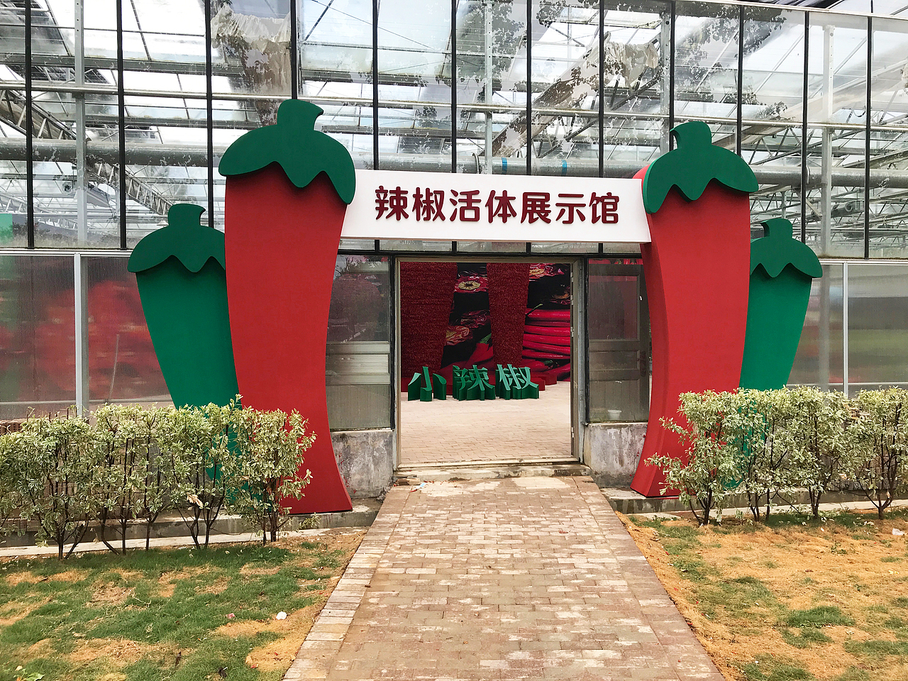 辣椒活体展示馆