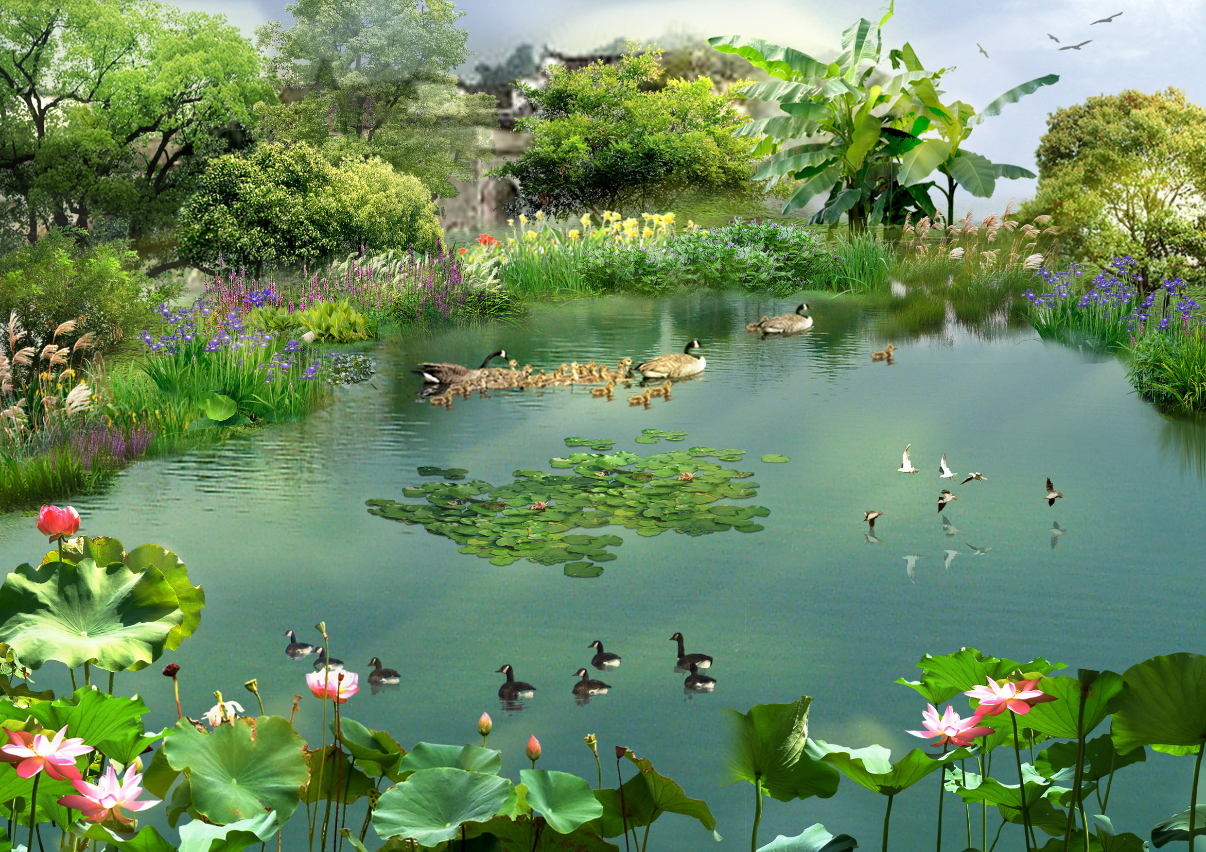 乡村景观效果图