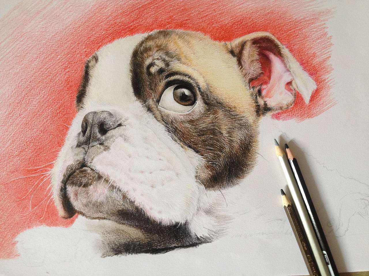 旺财（图ZNTg2MzY2NDA=） - 创作习作 - 站酷设计师Blake阿li原创素材 - 站酷ZCOOL