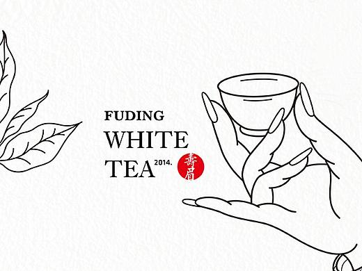 福鼎白茶